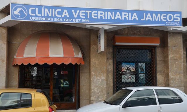 Centro veterinario Jameos